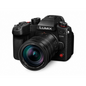 Panasonic Lumix DC-GH6 + Leica DG Vario-Elmarit 12-60 mm f/2.8-4 Power O.I.S. (DC-GH6LE)-0